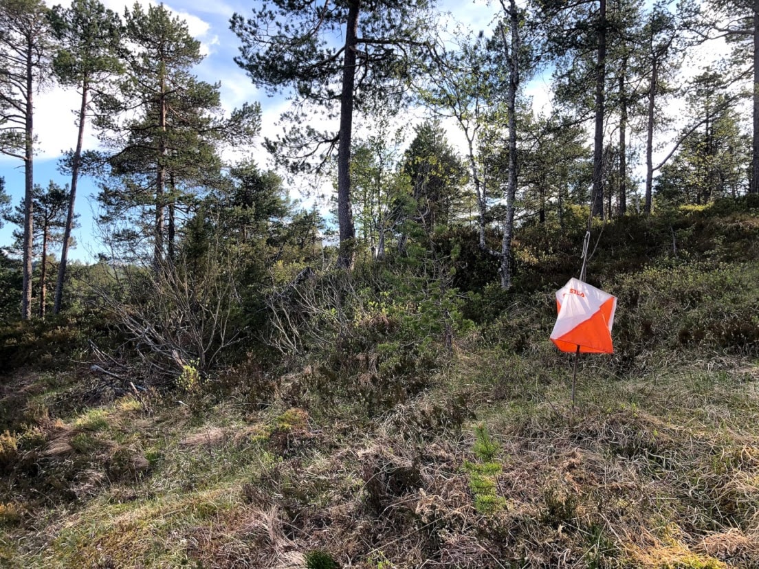 Nærløp onsdag 22.6